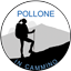 POLLONE IN CAMMINO